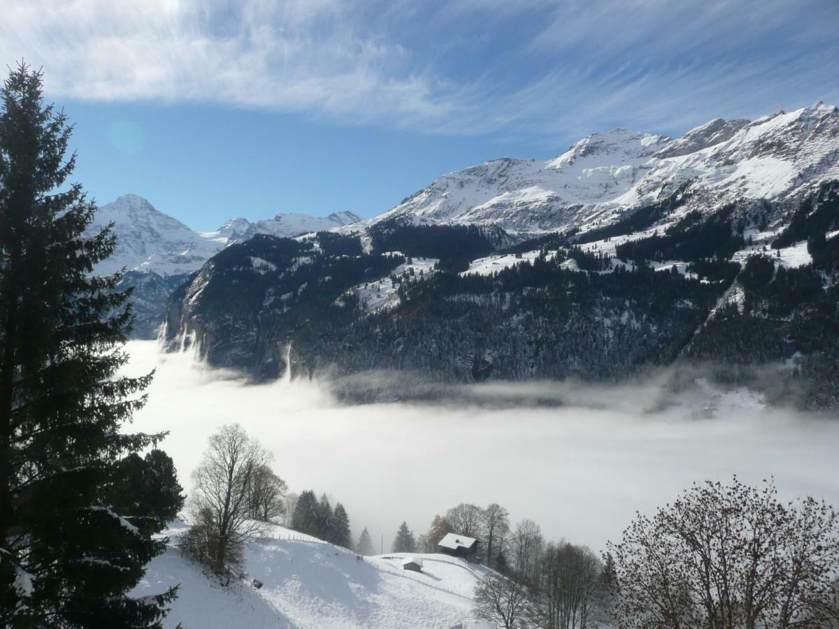 Holiday Flat #1, Chalet Aberot, Wengen, Switzerland المظهر الخارجي الصورة